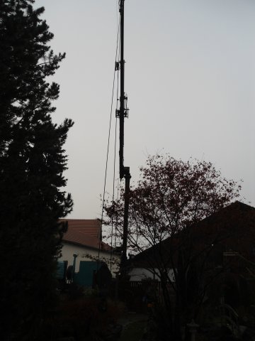 Christbaum 2011